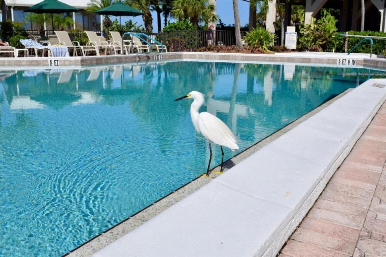 Caribbean Beach Club Fort Myers Beach Ngoại thất bức ảnh